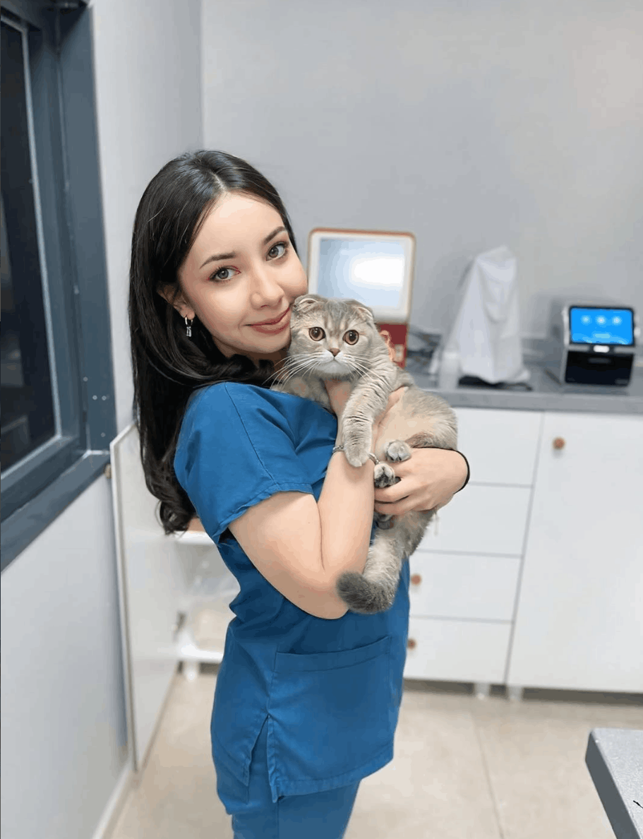 Eryaman Veteriner Kliniği | Doctor House